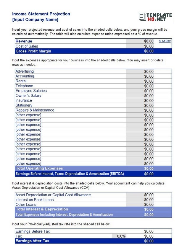 Income statement projection
