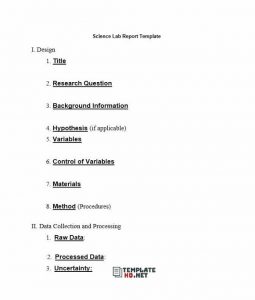 Lab Report Template 01