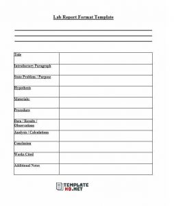 Lab Report Template 02