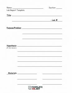 Lab Report Template 05