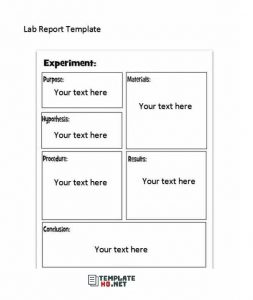 Lab Report Template 19