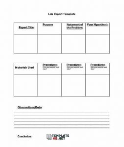 Lab Report Template 21