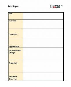 Lab Report Template 22