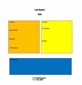 Lab Report Template 23