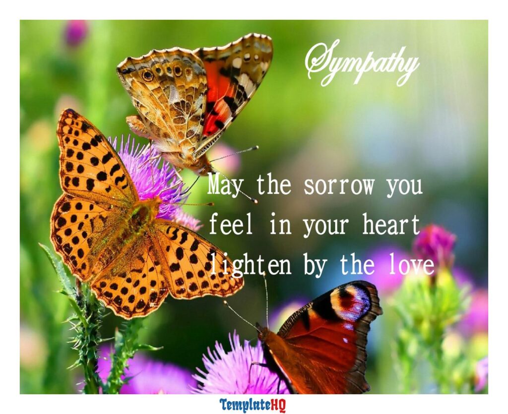 Sympathy Message Examples 22
