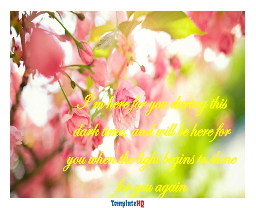 Sympathy Message Examples 24