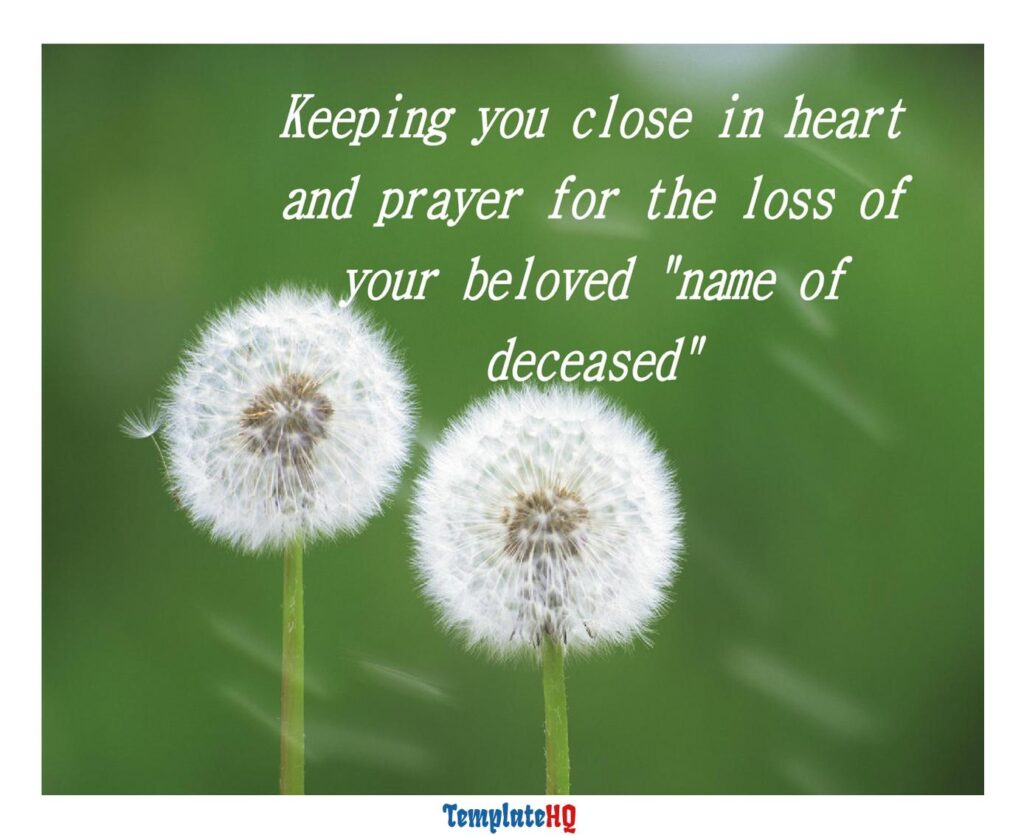 Sympathy Message Examples 27