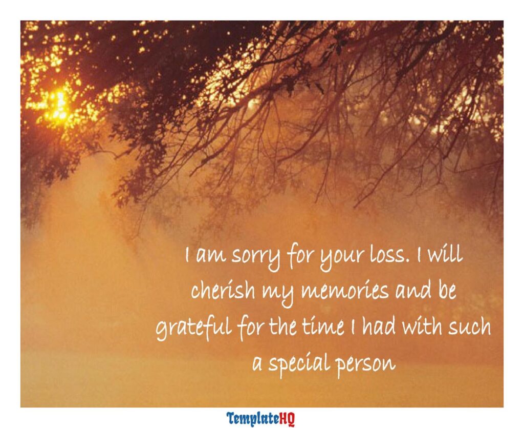 Sympathy Message Examples 29