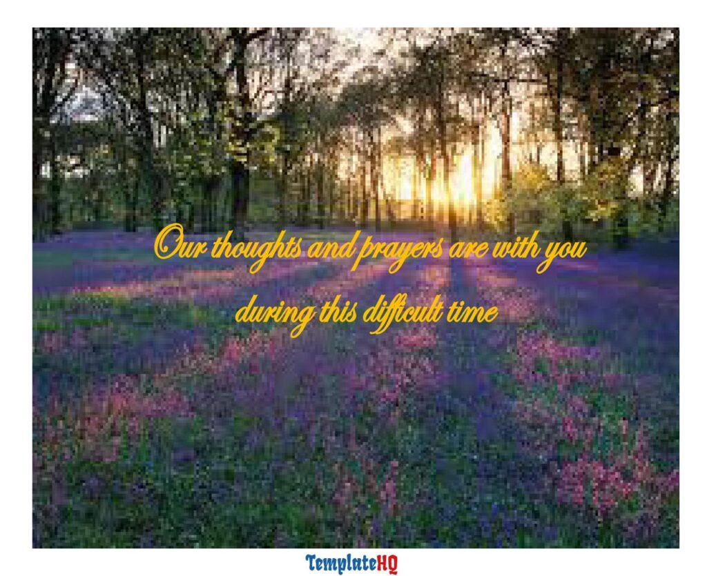 Sympathy Message Examples 32