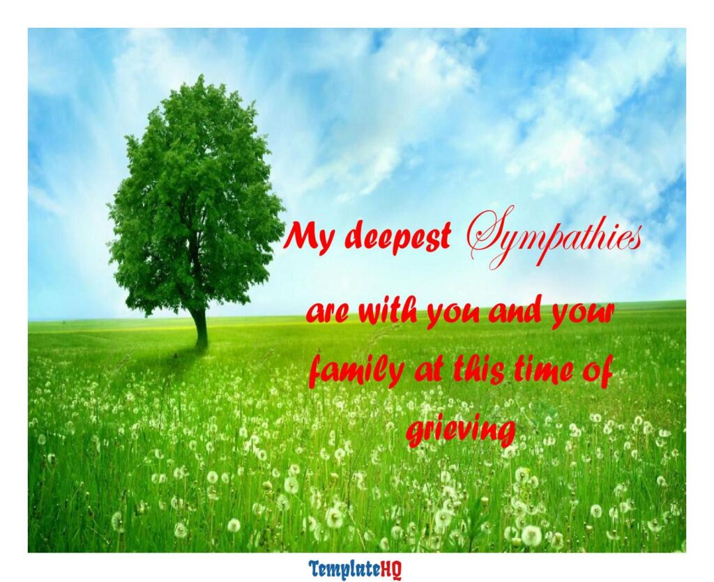 Sympathy Message Examples 35