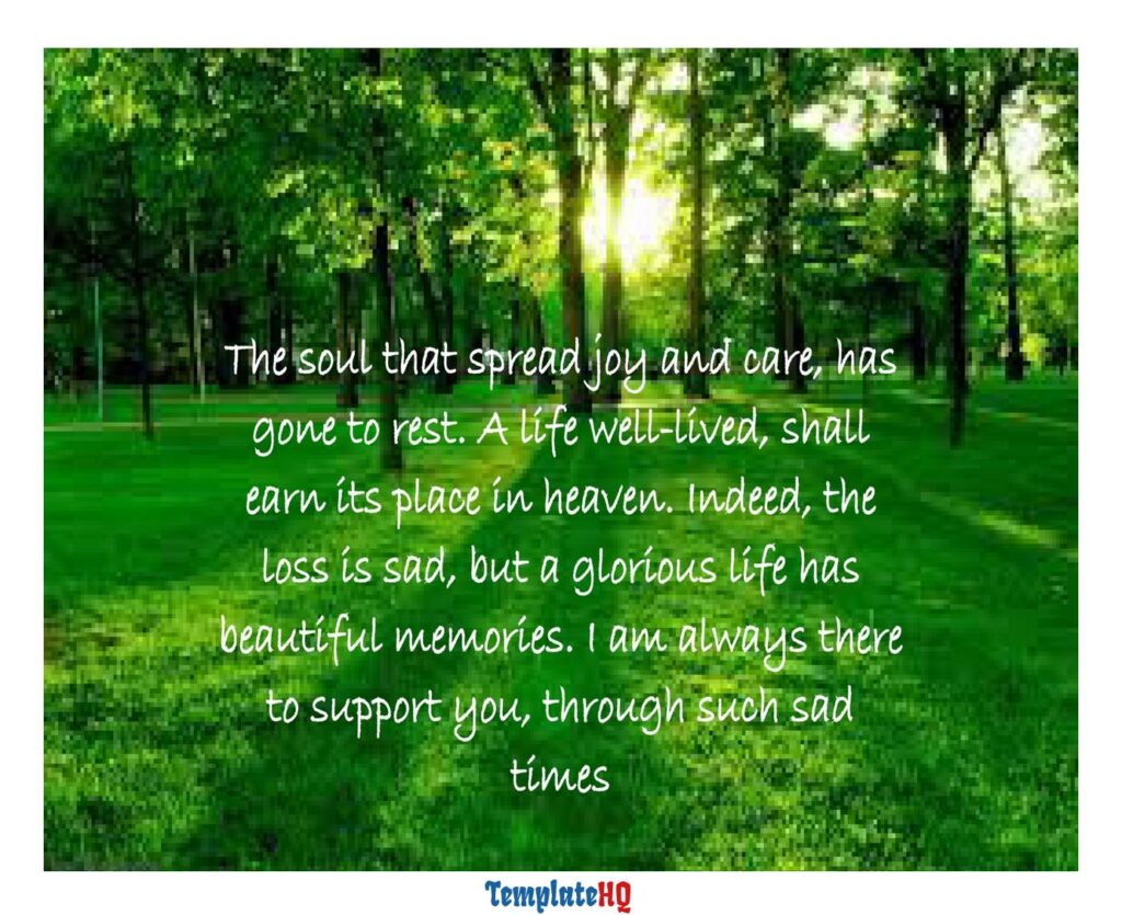 Sympathy Message Examples 47