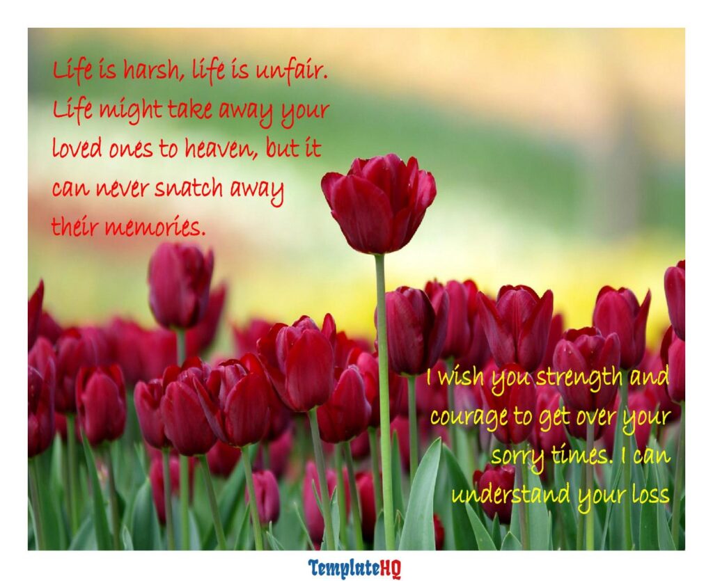 Sympathy Message Examples 50
