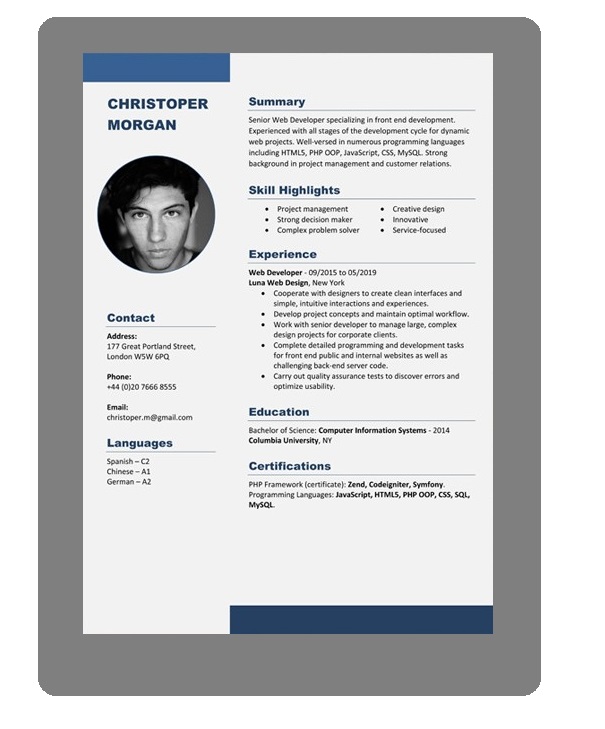 Curriculum Vitae Template PDF