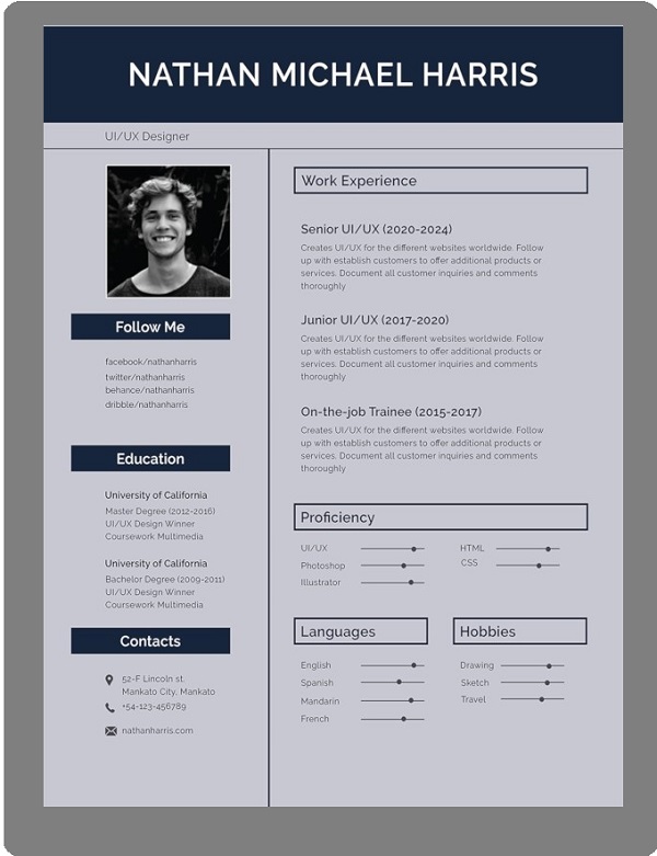 Creative Curriculum Vitae Template