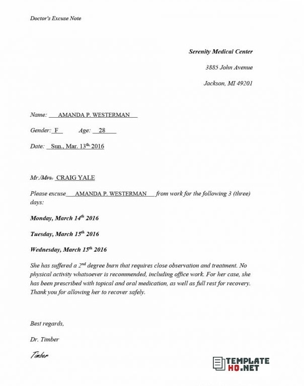 Doctor Notes Template 11