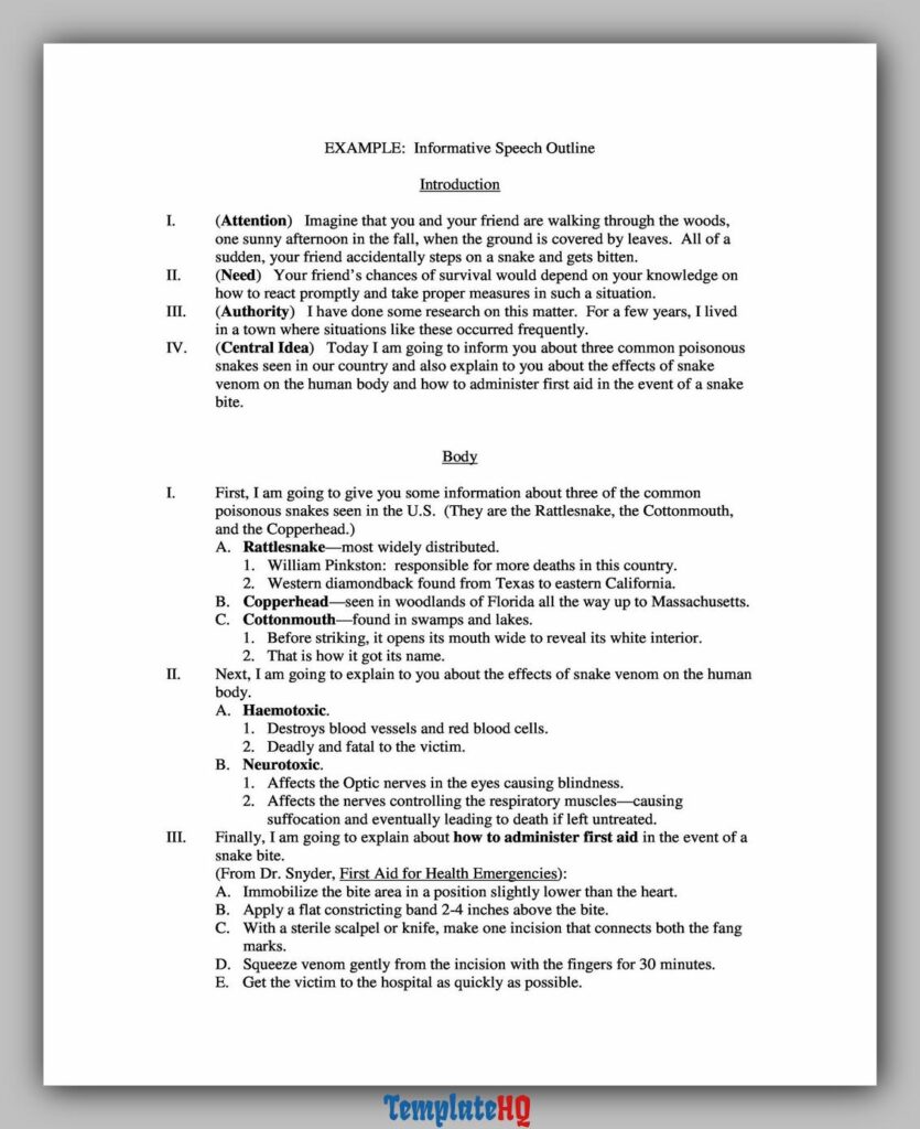 Informative Speech Outline 05