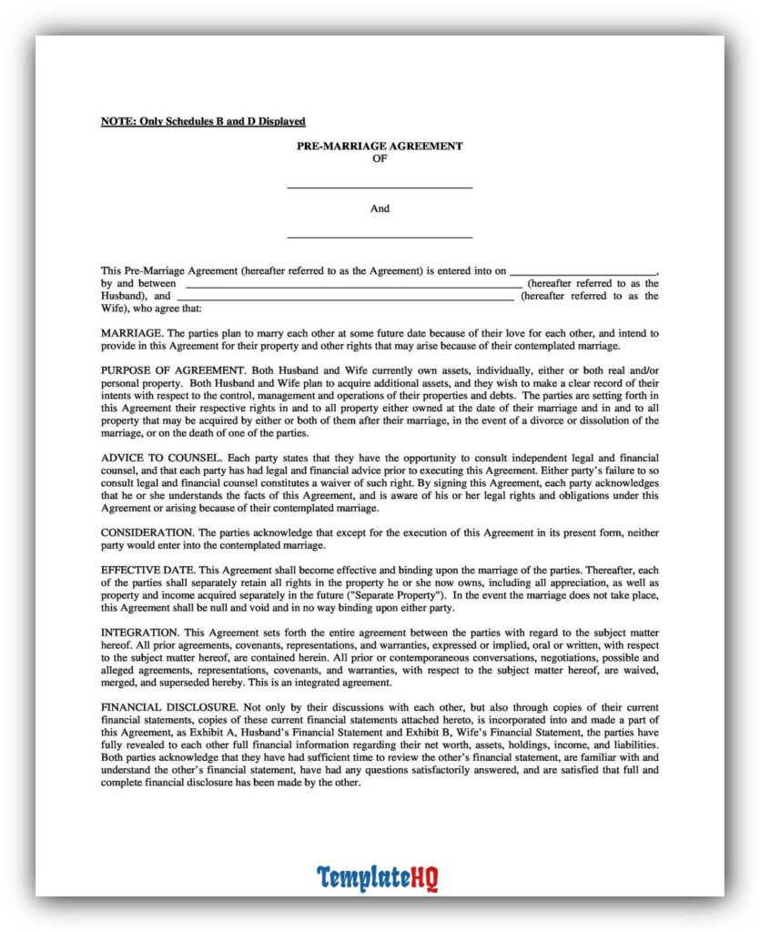 Marriage Contract Sample 13 Marriage Contract Sample 13