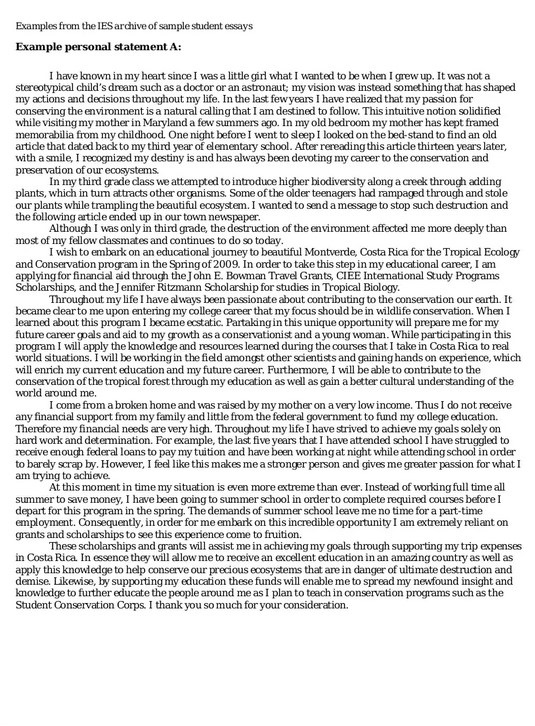Example Of Personal Statement Essay