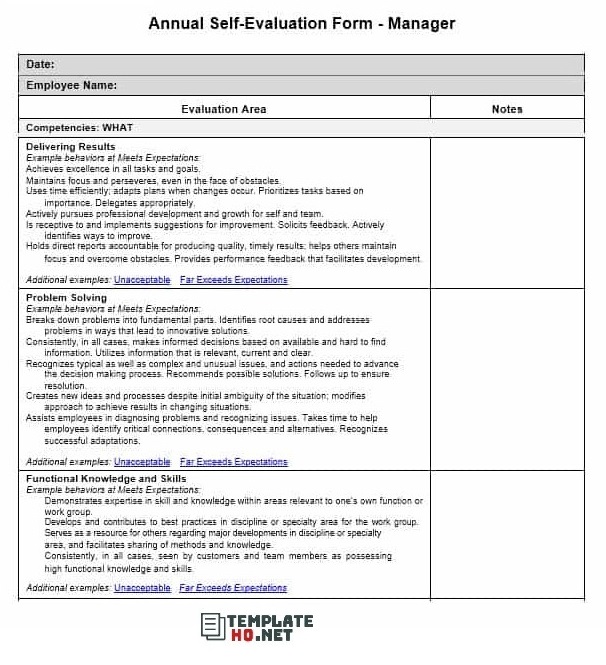 annual self evaluation examples