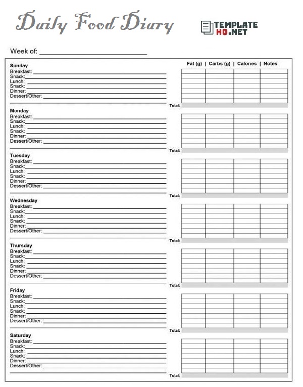 Daily Diary Template from www.templatehq.net