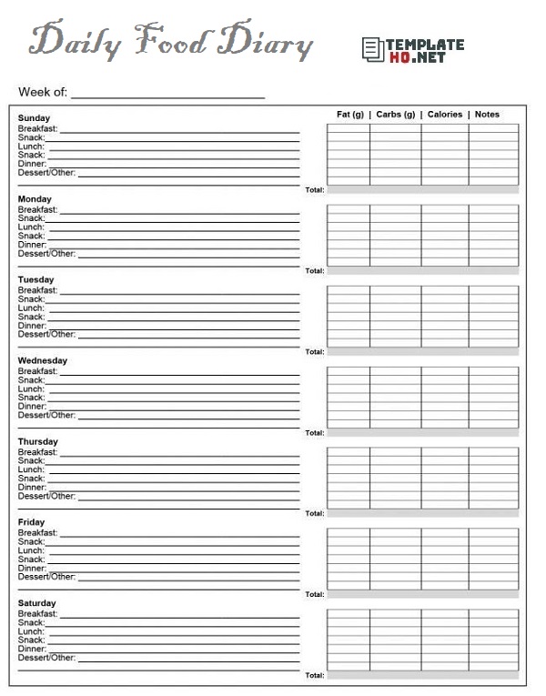 Food Log Template Excel from www.templatehq.net