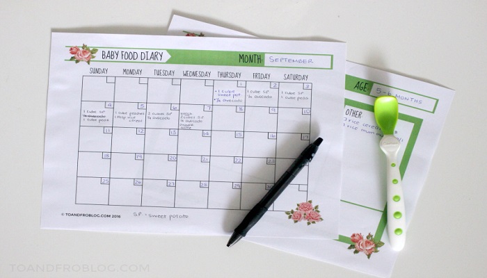 food diary templates
