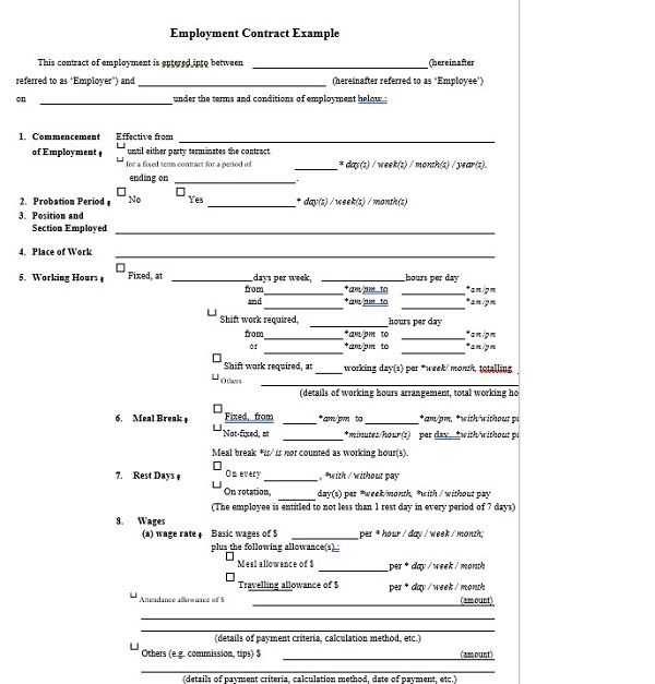 Employee Contract Example