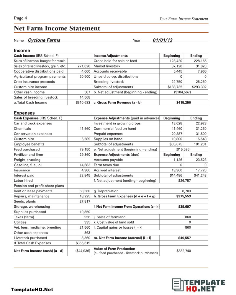 Net Farm Income Statement Form